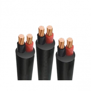  CÁP ĐIỆN LỰC HẠ THẾ 2 LÕI CVV (Cu/PVC/PVC) - 0,6/1kV