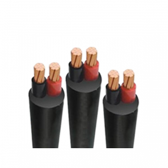  CÁP ĐIỆN LỰC HẠ THẾ 2 LÕI CVV (Cu/PVC/PVC) - 0,6/1kV