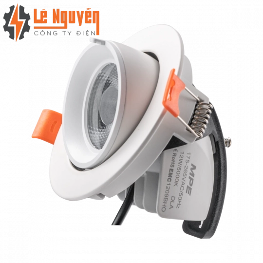 LED Downlight âm trần Chiếu điểm, Điều chỉnh hướng sáng 12W ánh sáng trắng DLA-12T