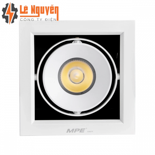 LED Downlight âm trần Chiếu điểm 1 đèn 20W ánh sáng vàng DLS-120V