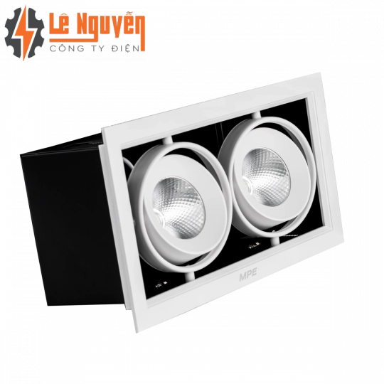 LED Downlight âm trần Chiếu điểm 2 đèn 12W ánh sáng trắng DLS-212T