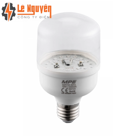 LED Bulb thanh long LBF-12