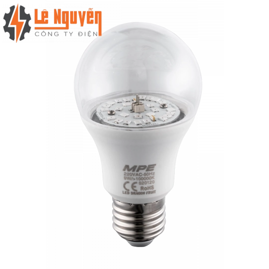 LED Bulb thanh long LBF-9